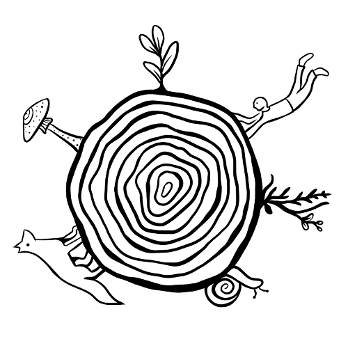Herzwurzler Walderlebnisräume
